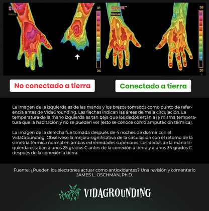 TAPETE DE PIES GROUNDING 19